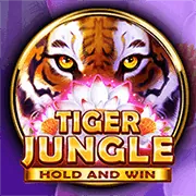 Chính sách bảo mật dữ liệu người dùng tại hi88bet casino